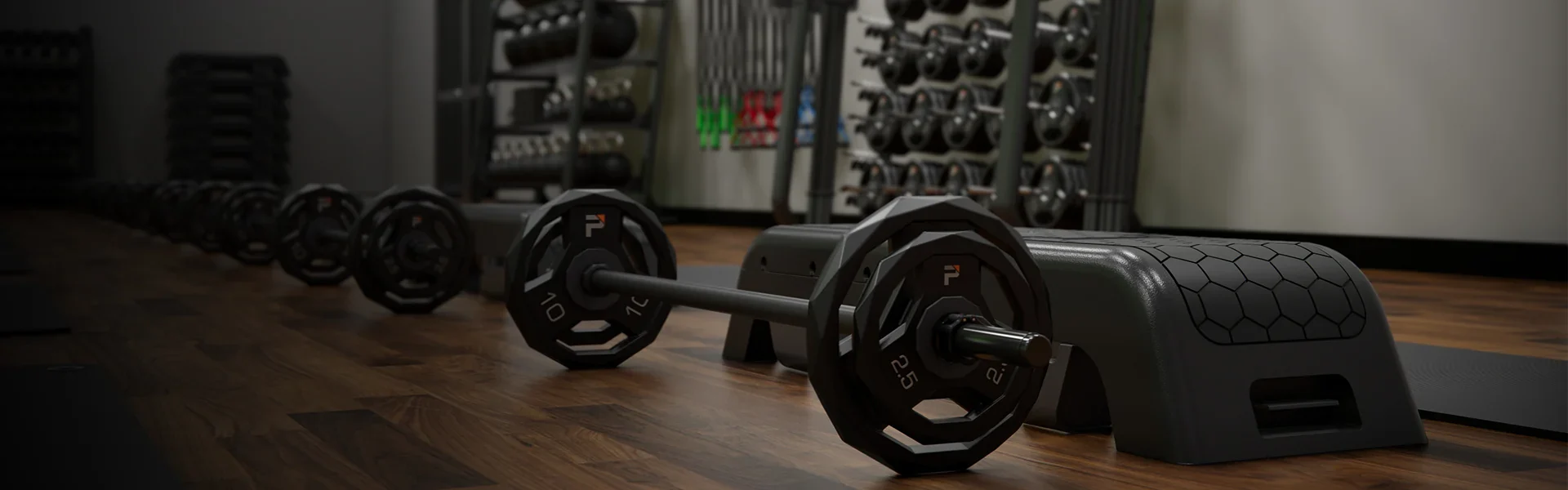 Equipping the World's Best Gyms